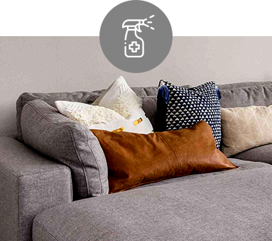 professional sofa cleaning services